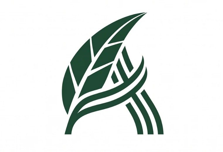 Logo Height