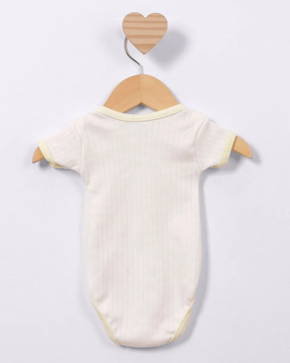 31364000331902 (2).webp