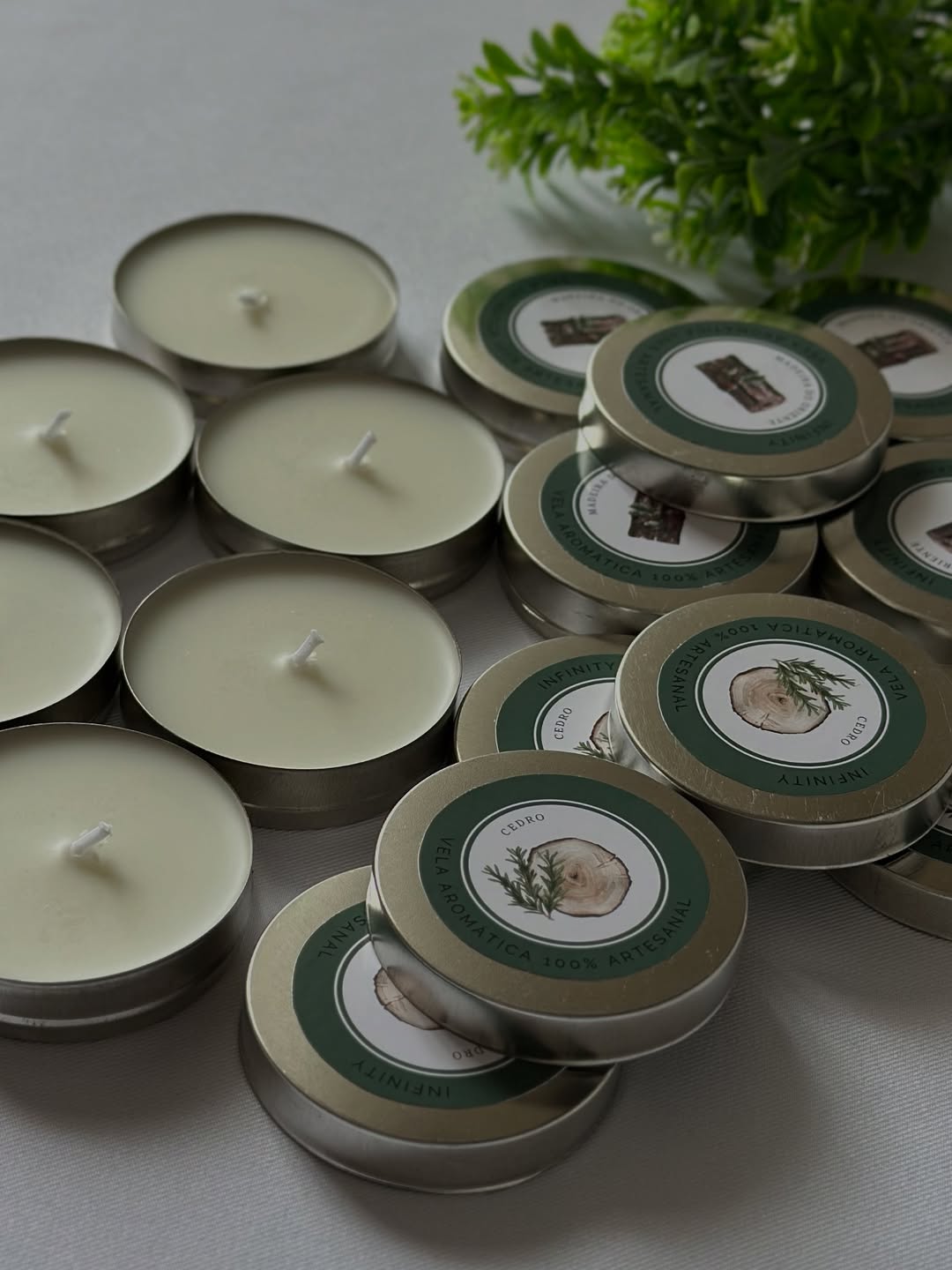 Mini Vela Encanto.jpg